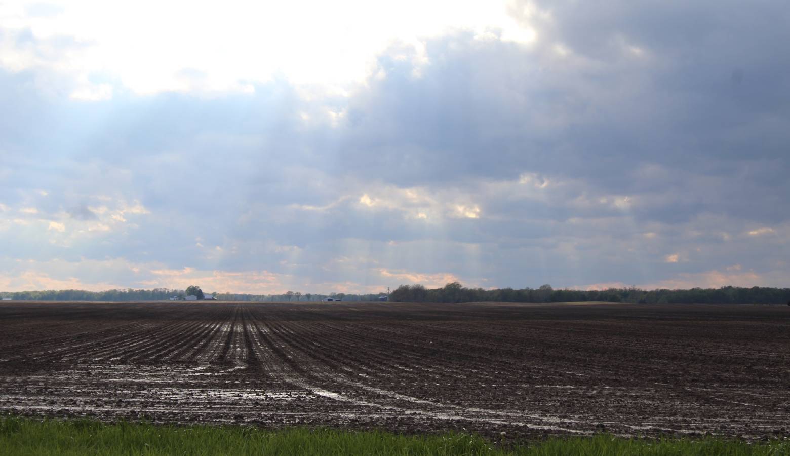 A tilled field in West Central Indiana. (Annie Ropeik/IPB file photo)