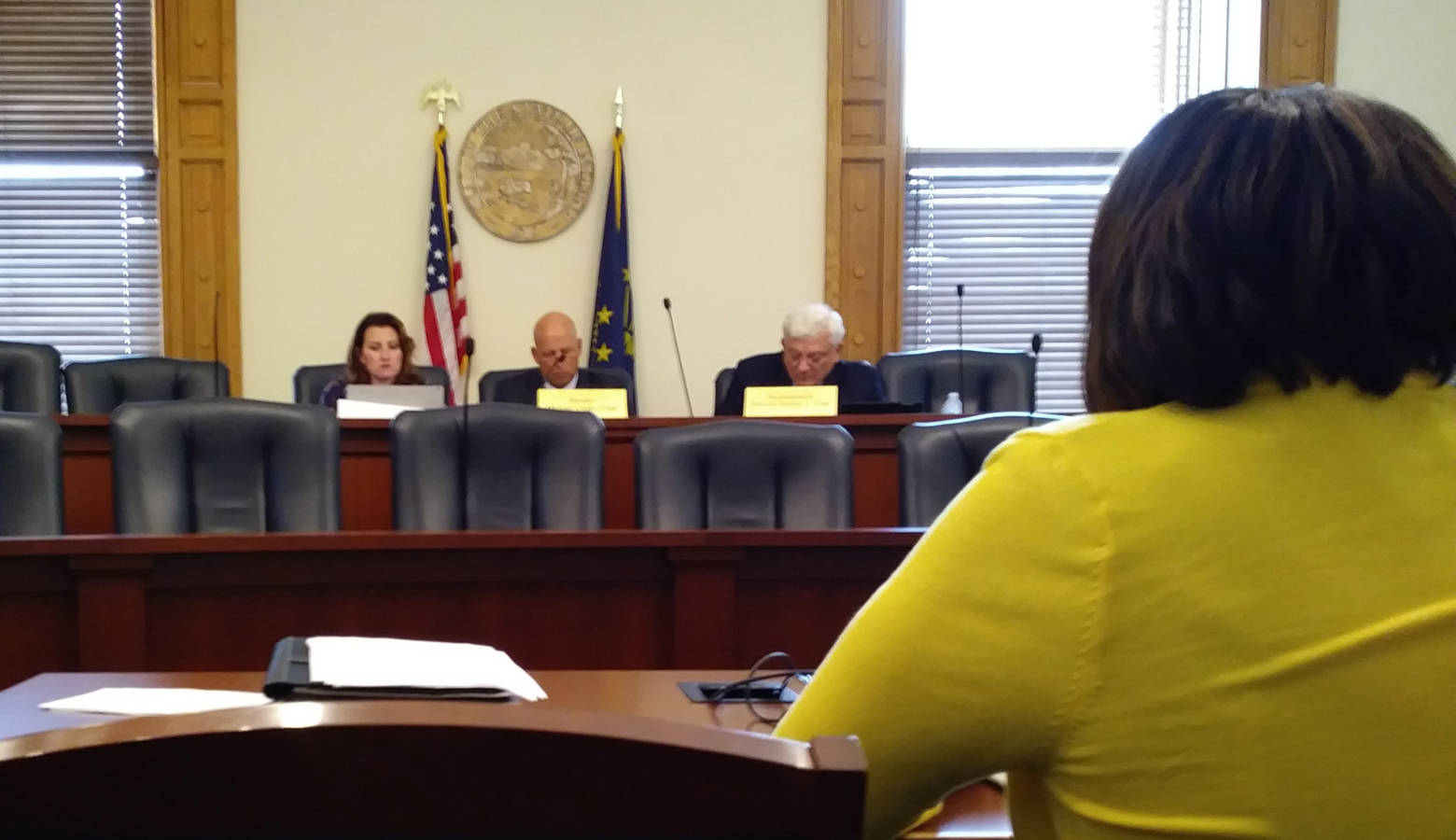 Rep. Robin Shackleford presents her proposal for traffic amnesty program to study committee on roads and transportation. (Lauren Chapman/IPB News)