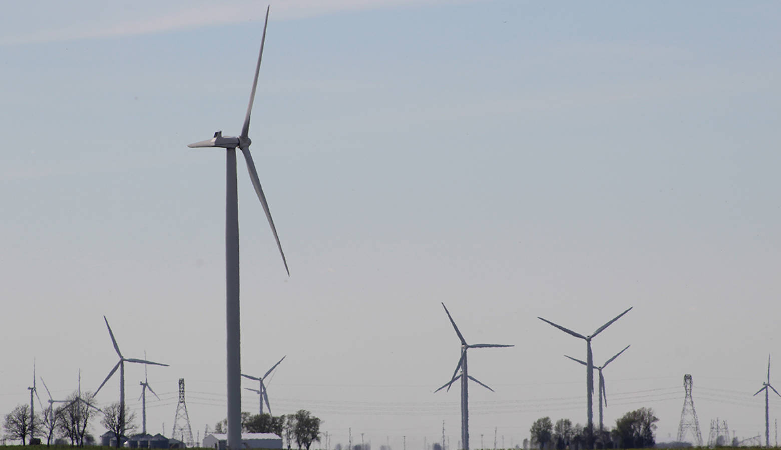 Wind turbines in White County (Annie Ropeik/IPB)