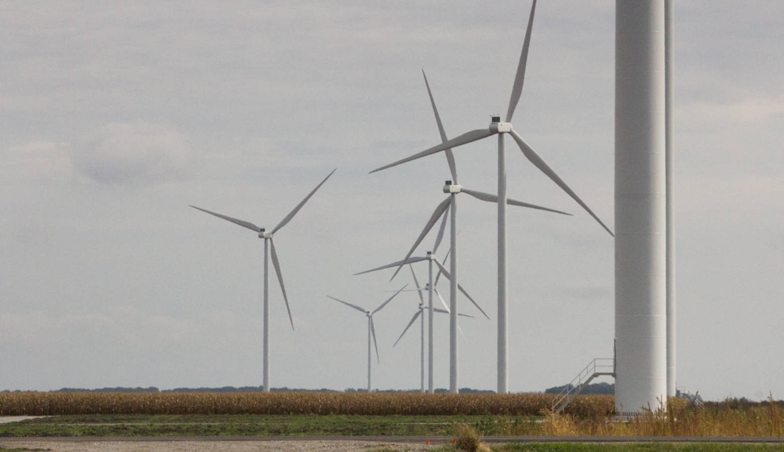 The Meadow Lake wind farm in White County (Annie Ropeik/IPB News)