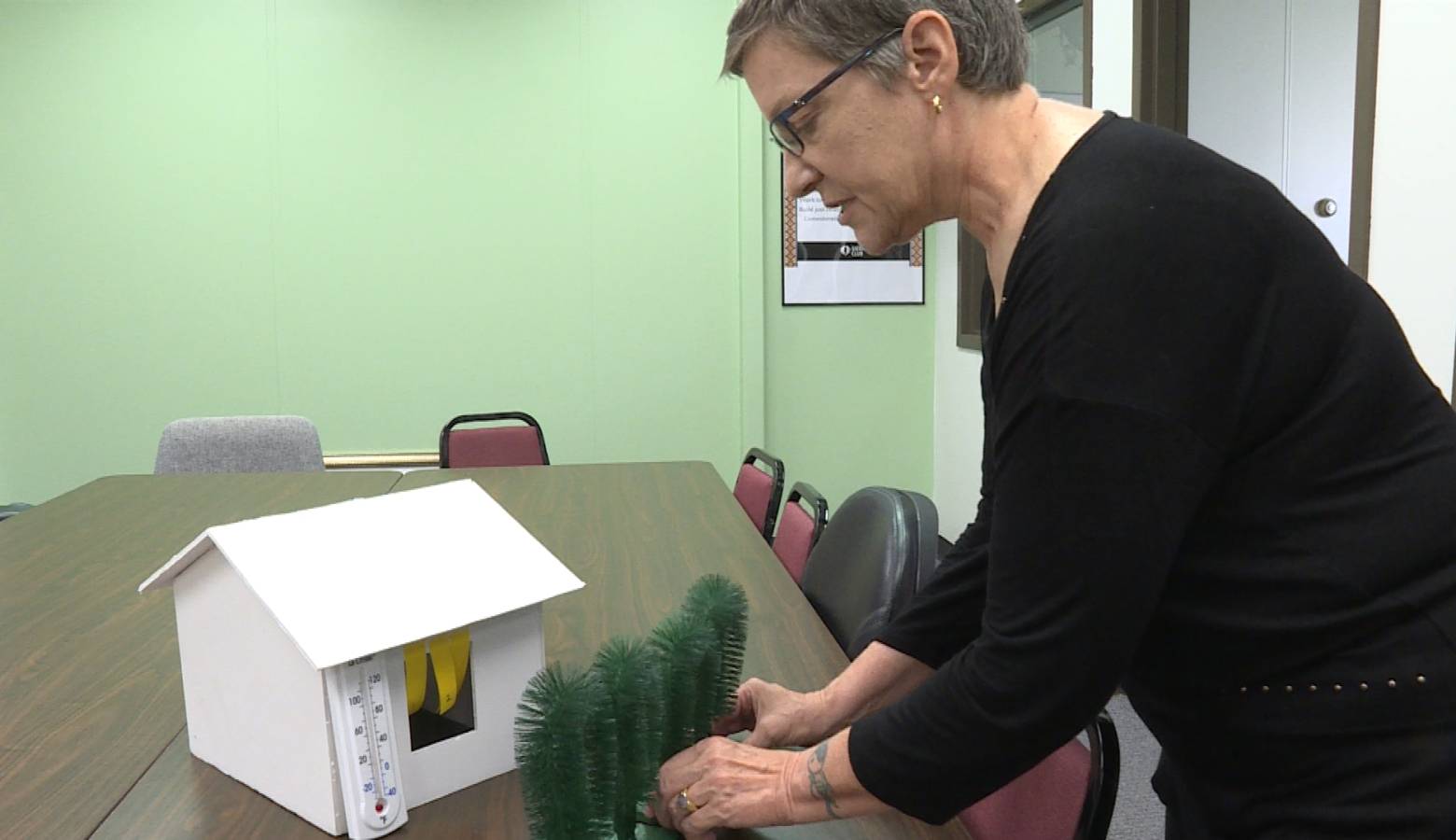 Monica Cannaley of the Hoosier Chapter of the Sierra Club uses a model to show how planting trees on the north side of your home can block wind and save on heating costs (Rebecca Thiele/IPB News)