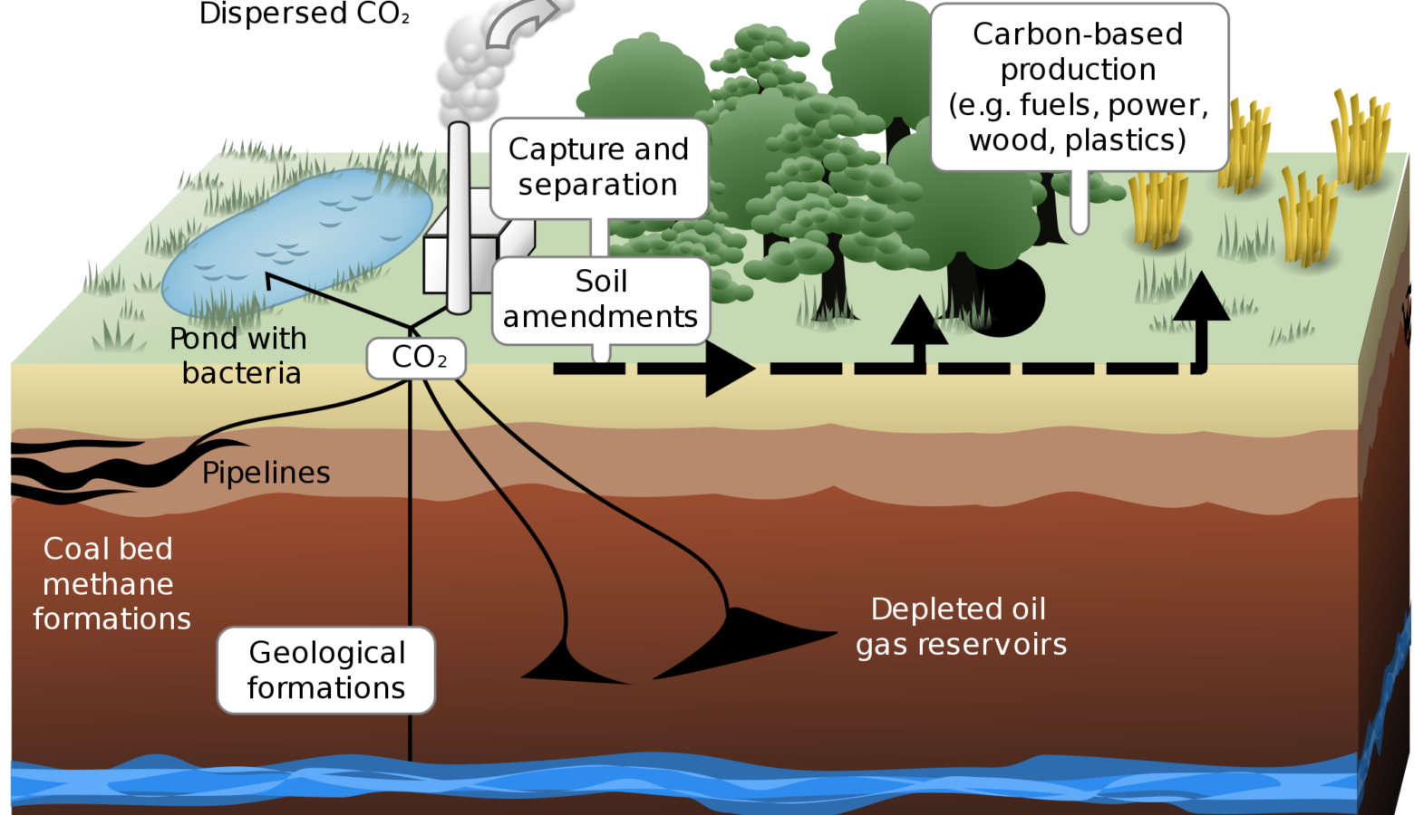 Ways carbon dioxide can be sequestered on land and underground. (LeJean Hardin and Jamie Payne/Wikimedia Commons)
