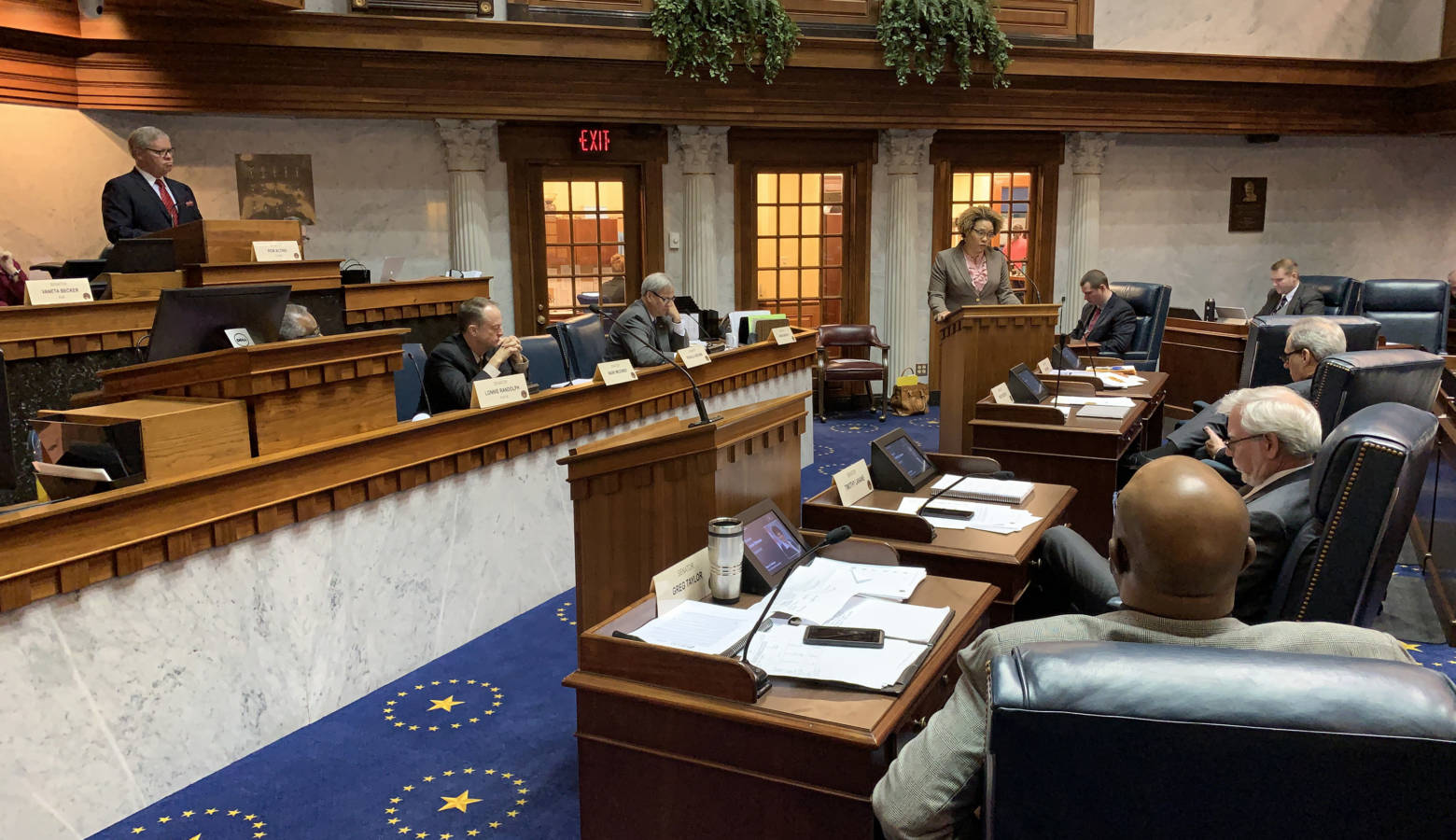 The Senate Public Policy Committee considers testimony on a hate crimes bill. (Brandon Smith/IPB News)