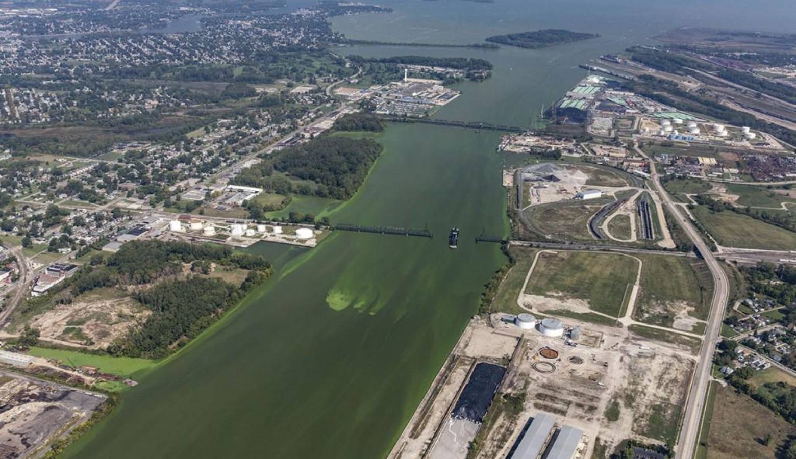 Algae blooms from Lake Erie entered the Maumee River, which begins in Fort Wayne, this year. (Photo courtesy of Aerial Associates Photography, Inc. by Zachary Haslick)
