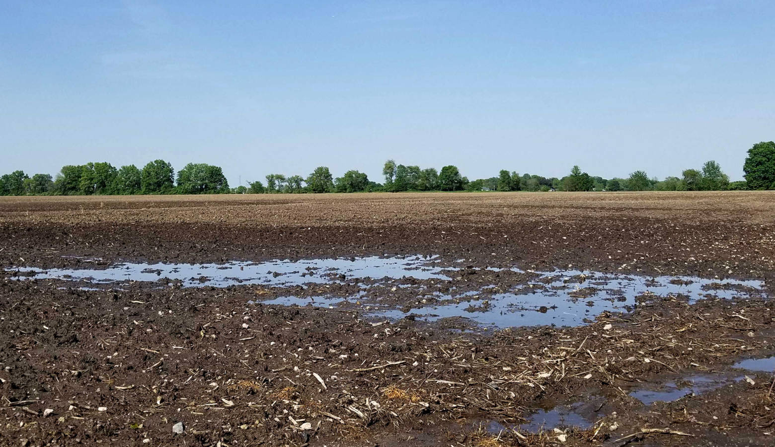 The rains have been preventing many farmers from being able to plant corn. (Samantha Horton/IPB News)