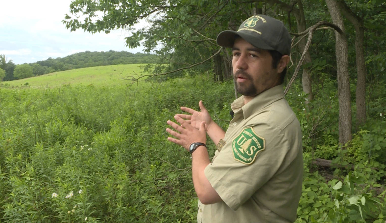 Hoosier National Forest Wildlife Technician Brian King gestures toward a forest opening the Forest Service has been managing to encourage diverse wildlife. (Rebecca Thiele/IPB News)