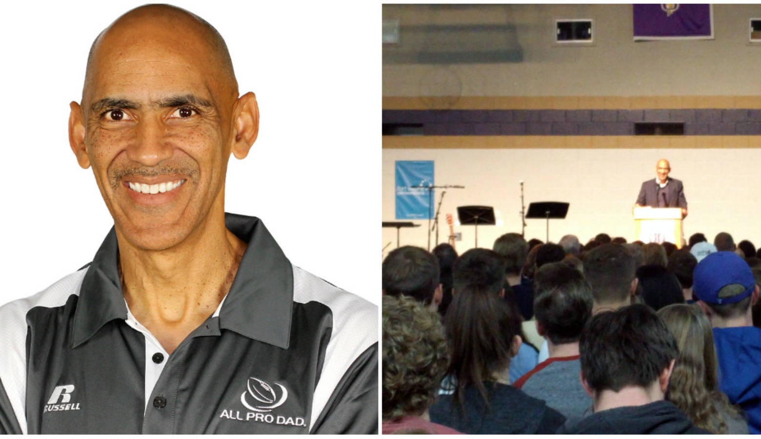 Dungy Collage