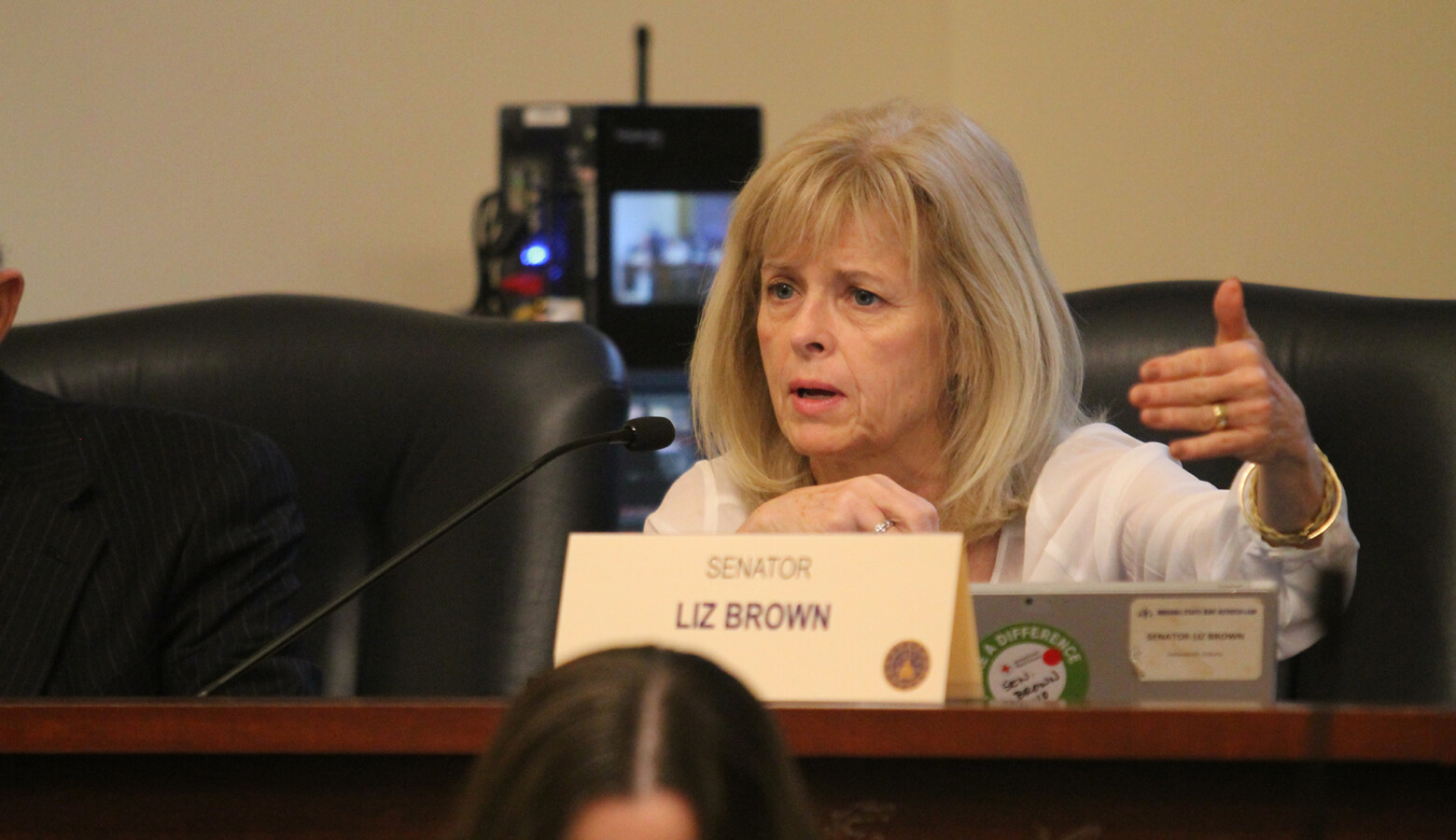 Sen. Liz Brown (R-Fort Wayne) emphasizes this year's fetal remains disposal bill imposes no new requirements on women. (Lauren Chapman/IPB News)