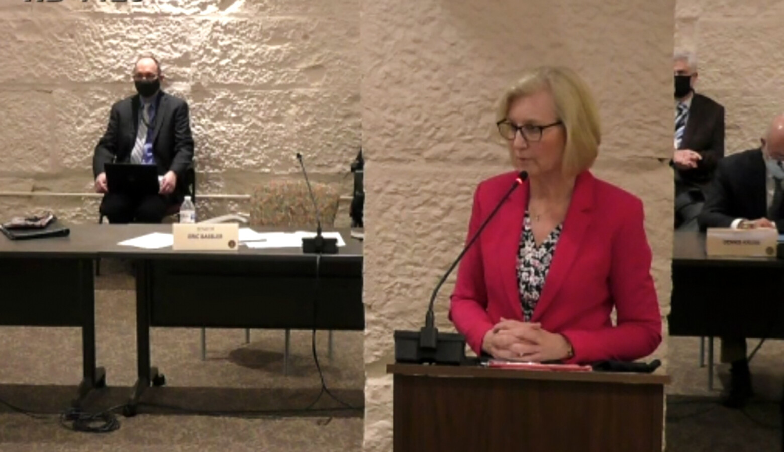 State Health Commissioner Dr. Kris Box testifies in a Senate committee hearing about the governor's emergency powers. (Screenshot of iga.in.gov)
