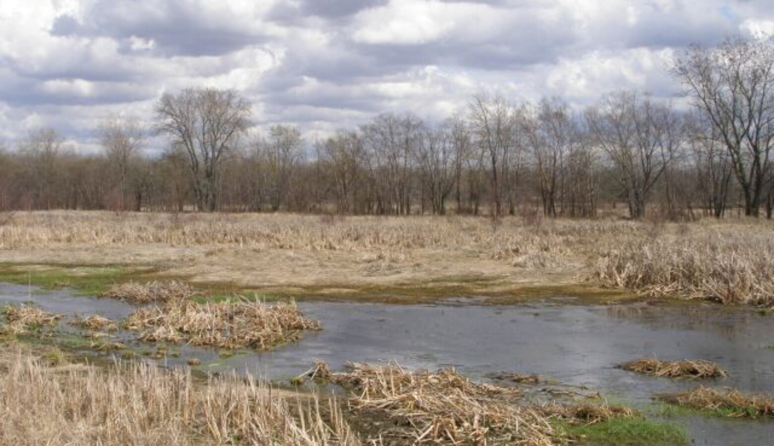 The Aukiki Wetland Conservation Area in Jasper County, 2007. (Chris Light/Wikimedia Commons)