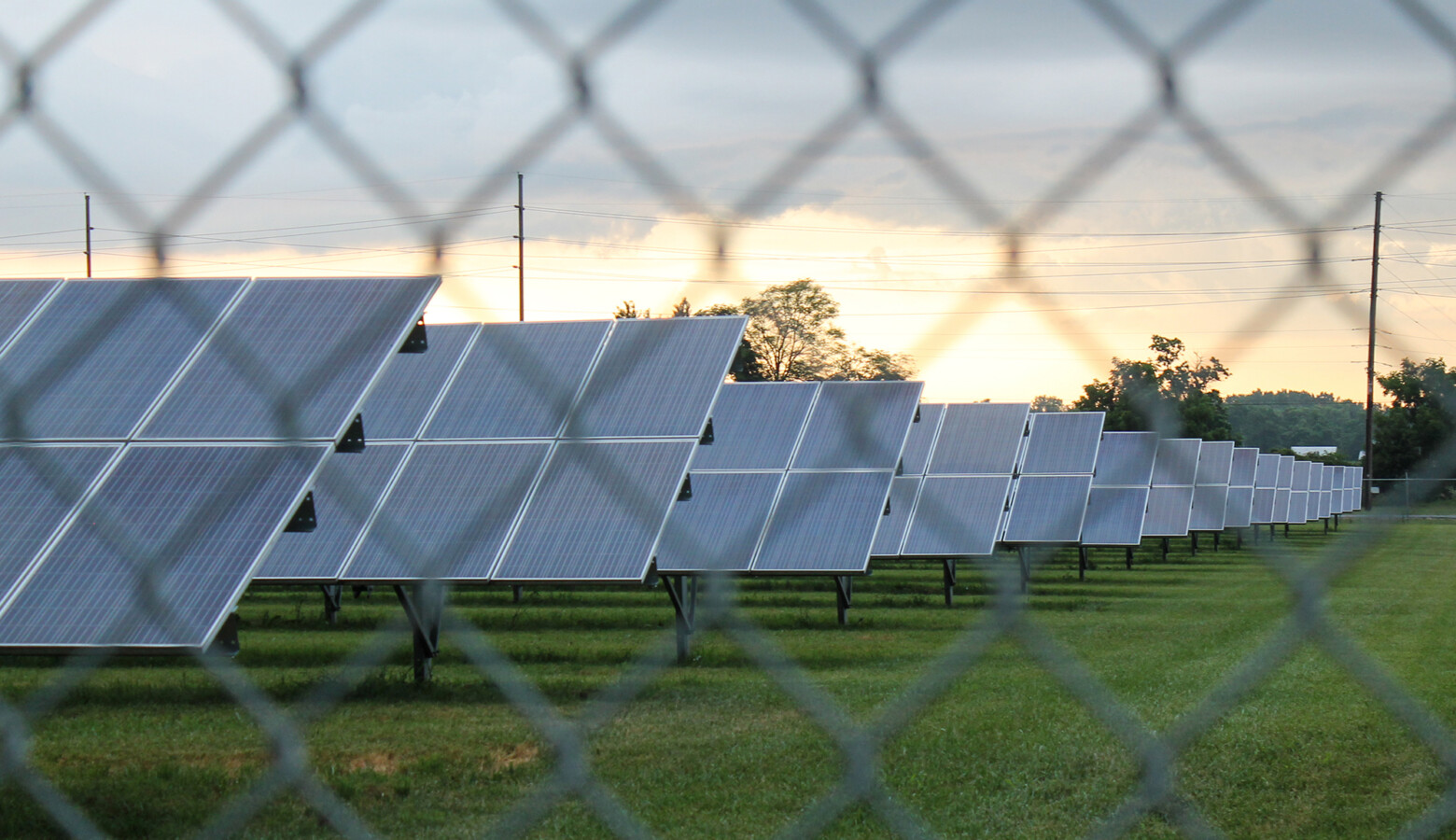 Indiana is expected to see the third highest increase in megawatts of large-scale solar in the country — with nearly four gigawatts, or 4,000 megawatts, proposed. (Lauren Chapman/IPB News)