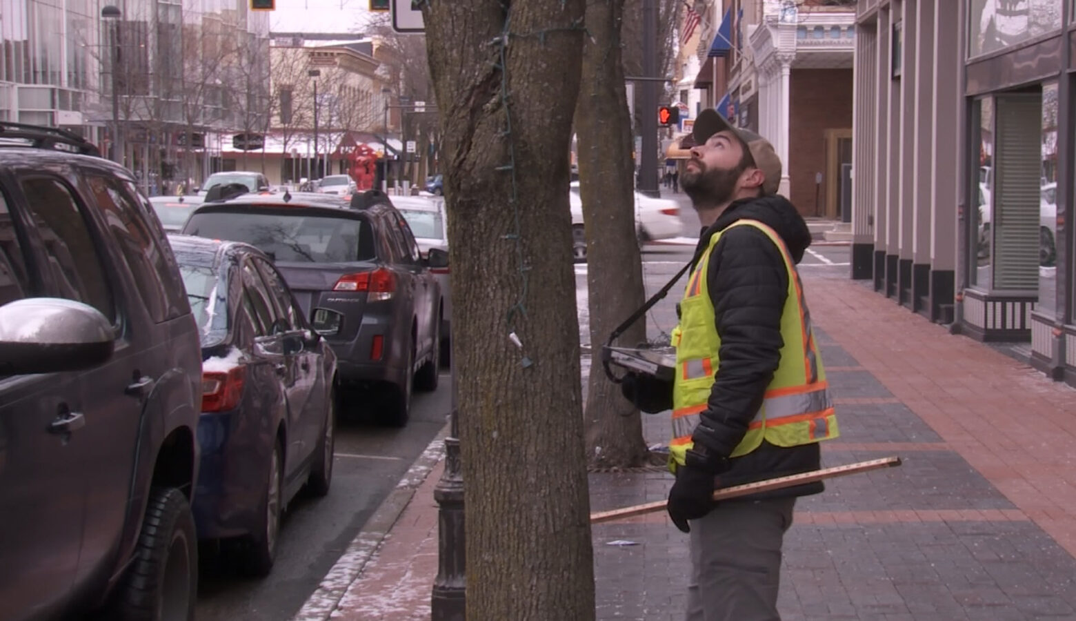 Tyler VanVlerah of Davey Resource Group looks at the condition of a tree in downtown Columbus while working on the city's tree inventory in 2020.